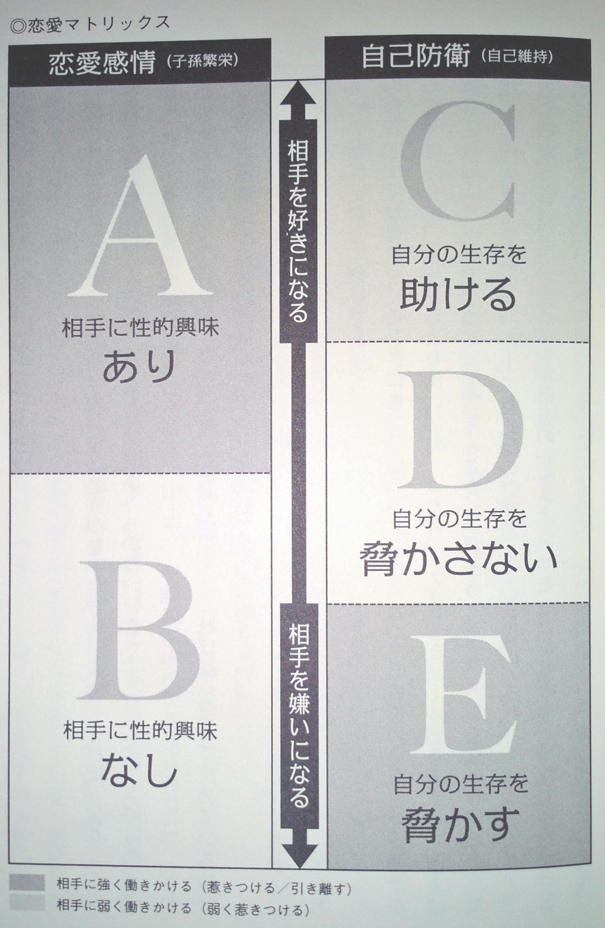 恋愛マトリックス の要約と感想 辛辣だけど恋愛や婚活の 転ばぬ先の杖 となってくれる本